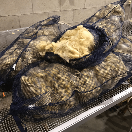 Mesh bags filled with raw wool, on a metal drying rack.