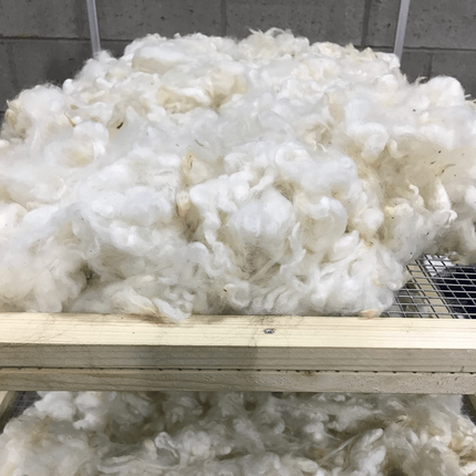 White wool fibers piled on a wooden shelf.