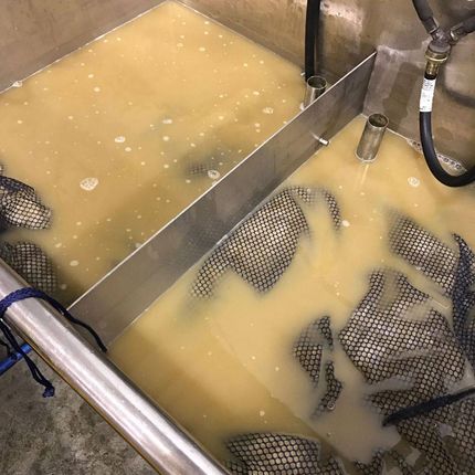 Tanks of murky yellow liquid, divided by metal, with dark mesh bags submerged in the fluid.