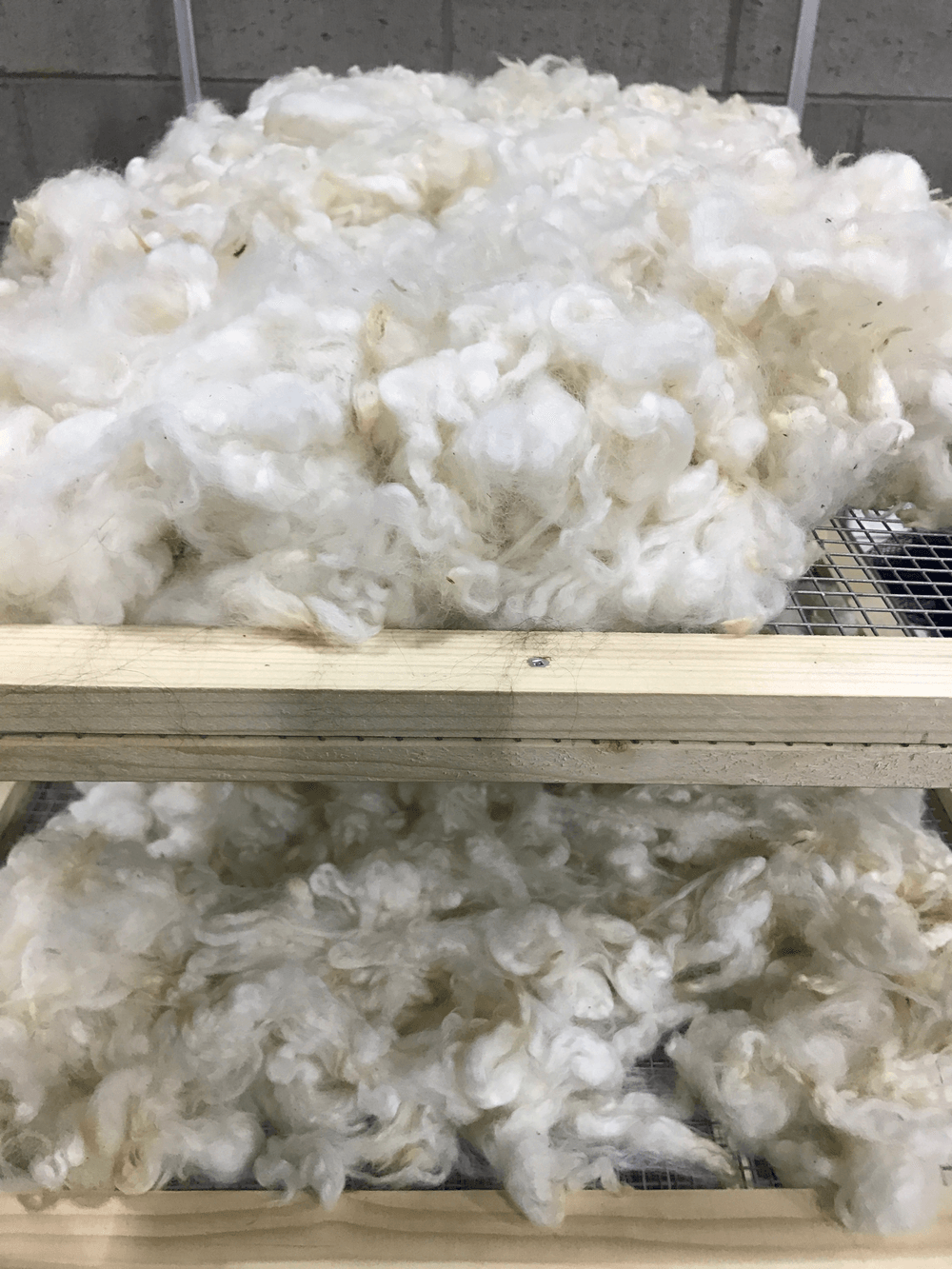 Yarn Kamloops, B.C. 2503190445