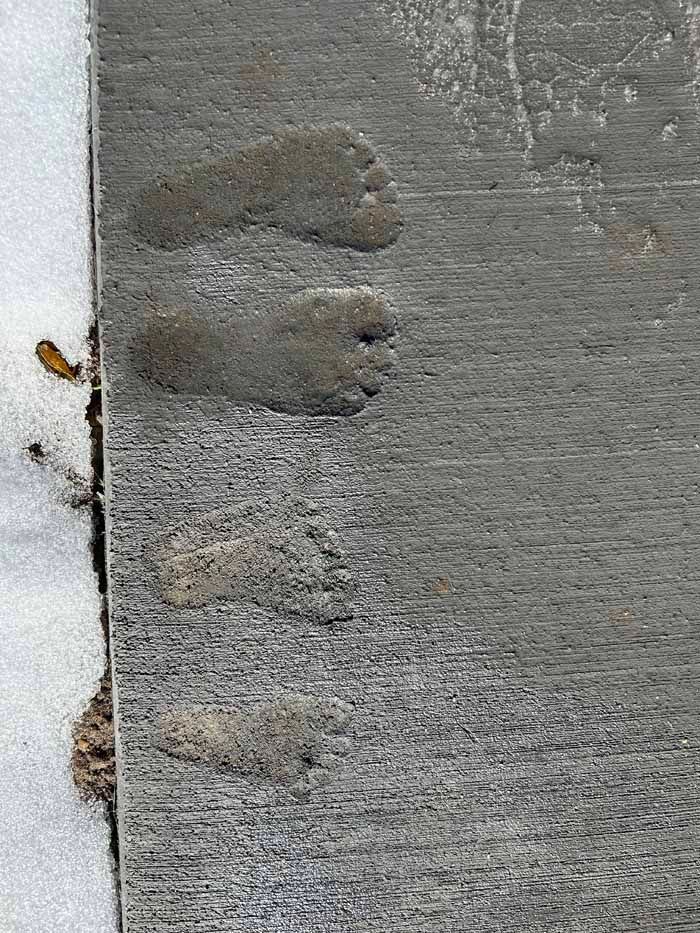 Footprints pressed into wet concrete next to snow; several sets of small bare feet.