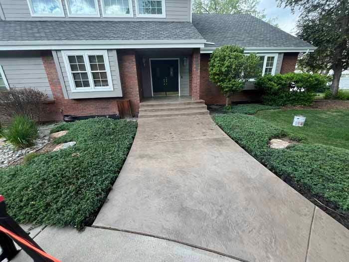 Concrete walkway leading to a house with steps and a dark door, flanked by green bushes and grass.