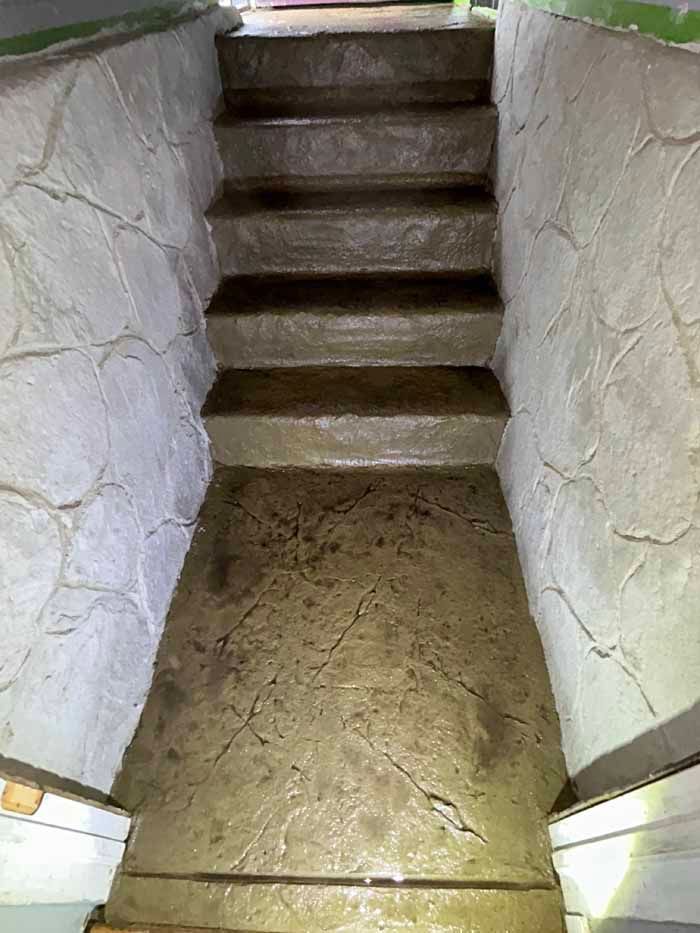 Concrete basement stairs and walls; wet-looking; dim lighting.