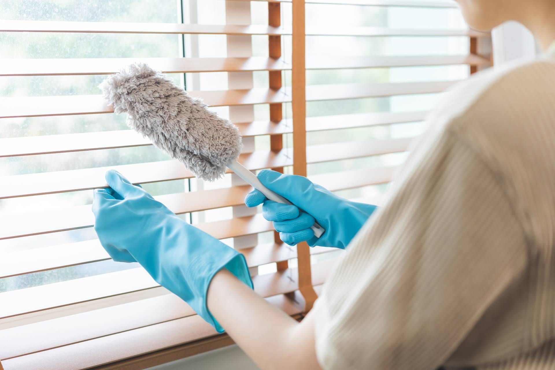 Person wearing blue cleaning gloves, holding a duster to clean wooden blinds in their home near Bell