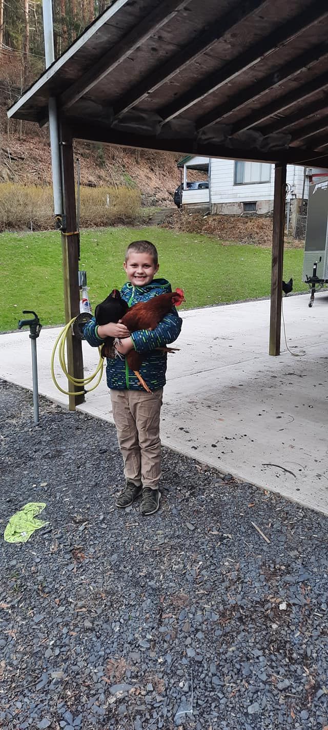 one of the ownere's son holding a rooster