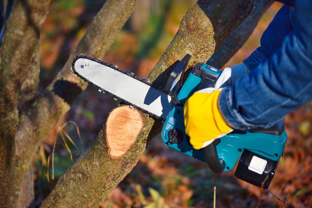 A person is cutting a tree branch with a chainsaw.