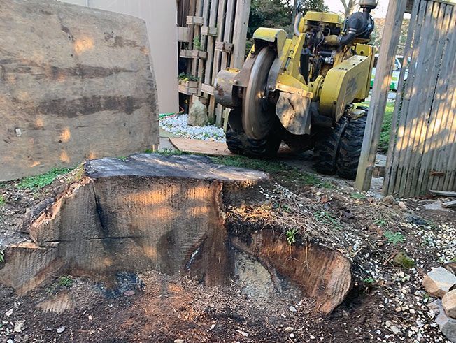 A large tree stump is being removed by a yellow tractor.