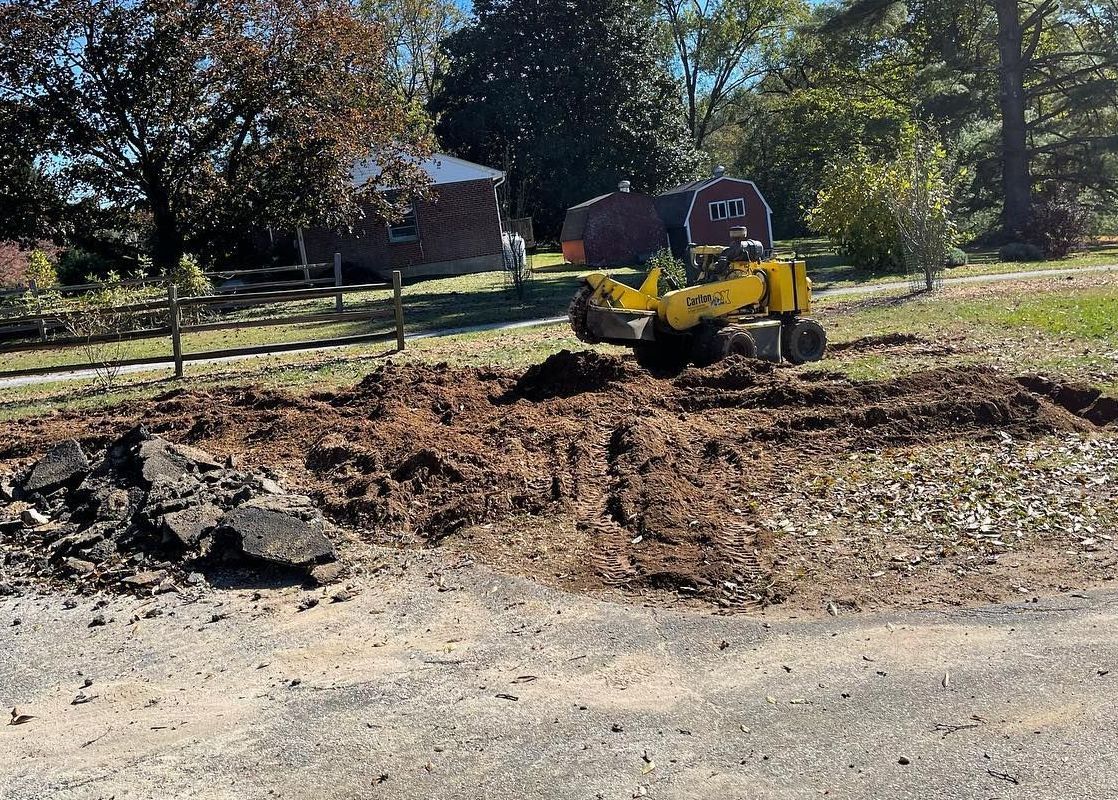 A yellow stump grinder is cutting down a tree in front of a building.