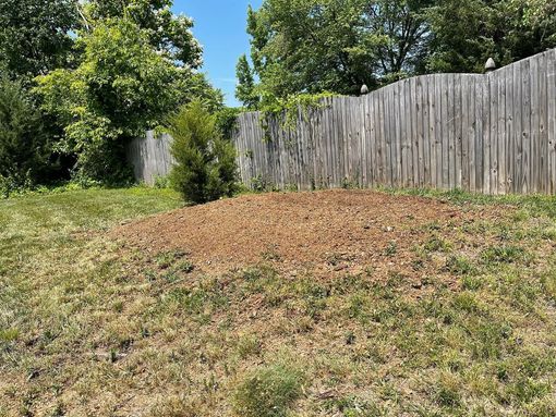 A wooden fence surrounds a grassy yard with trees in the background.