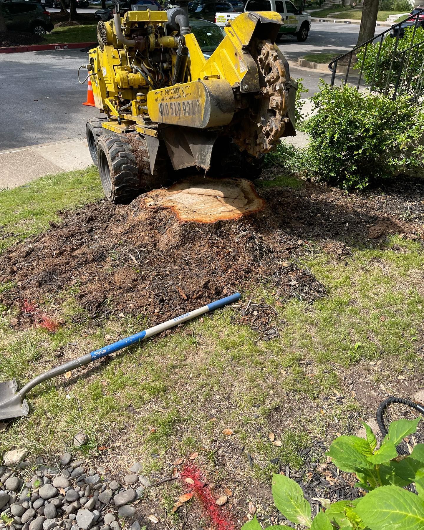 A yellow stump grinder working on a tree stump in grass, next to a building and parking lot.