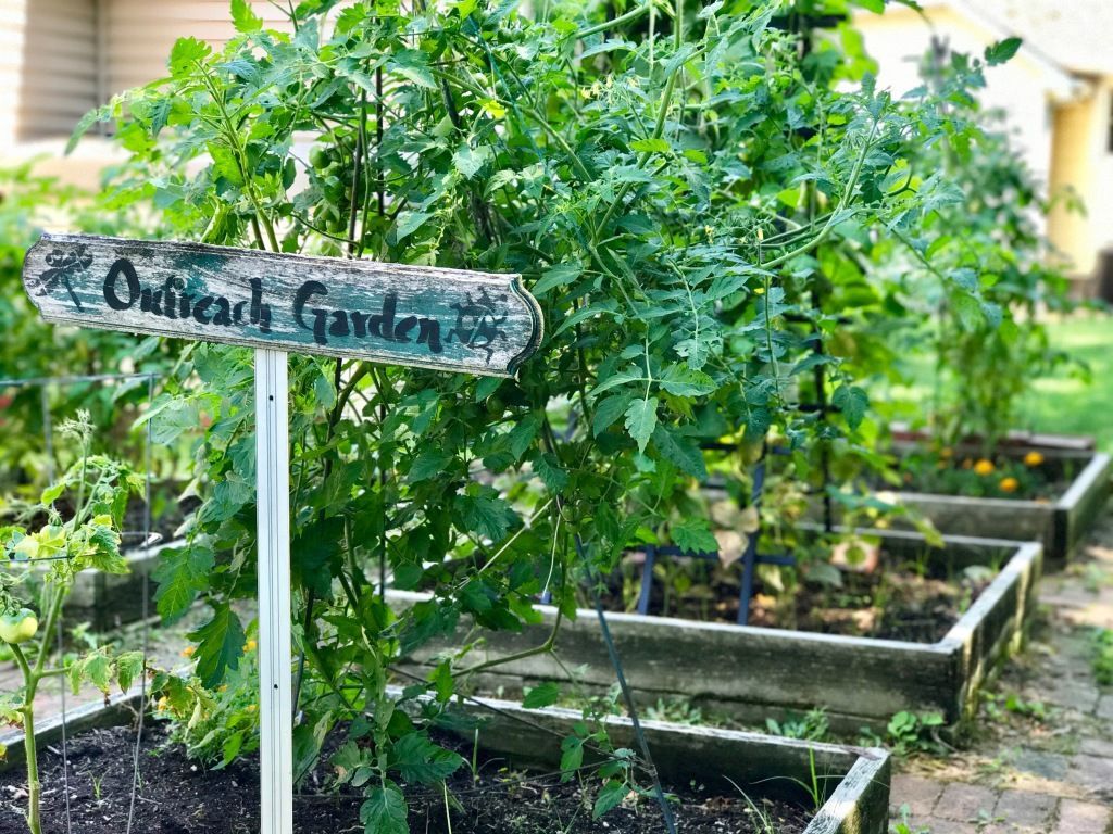Sign reading “Herb Garden” beside lush green plants in raised garden beds.