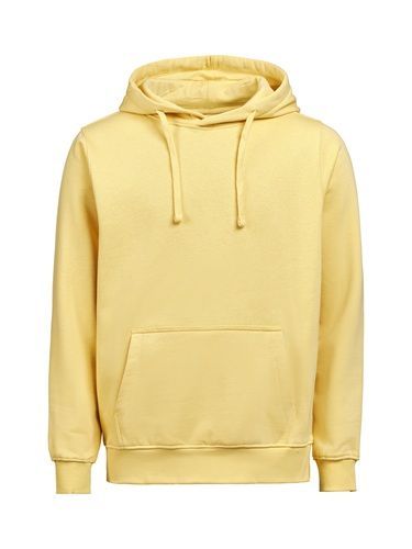 Hoodie Regular  Fit