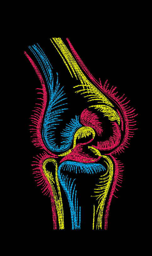 Neon Knee