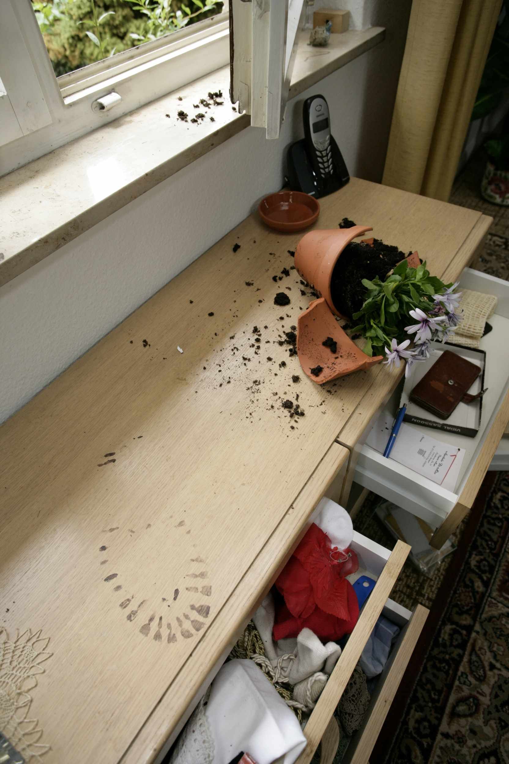 Ein umgekippter Blumentopf mit verschütteter Erde und Unrat steht auf einer Fensterbank in einem unordentlichen Zimmer.