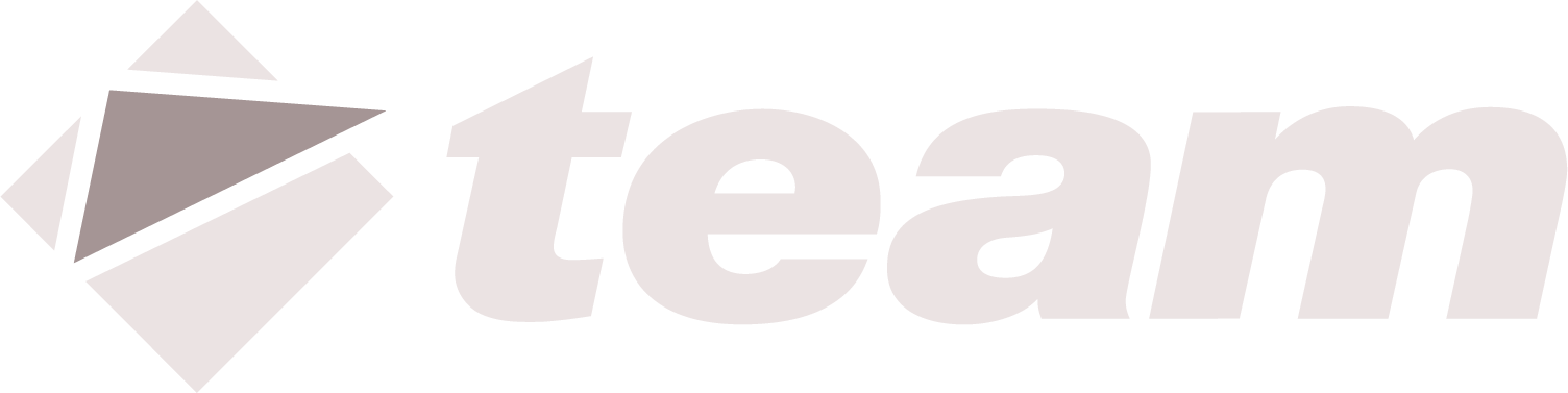 Hellgraues „Team“-Logo mit einem stilisierten Dreieckssymbol auf weißem Hintergrund