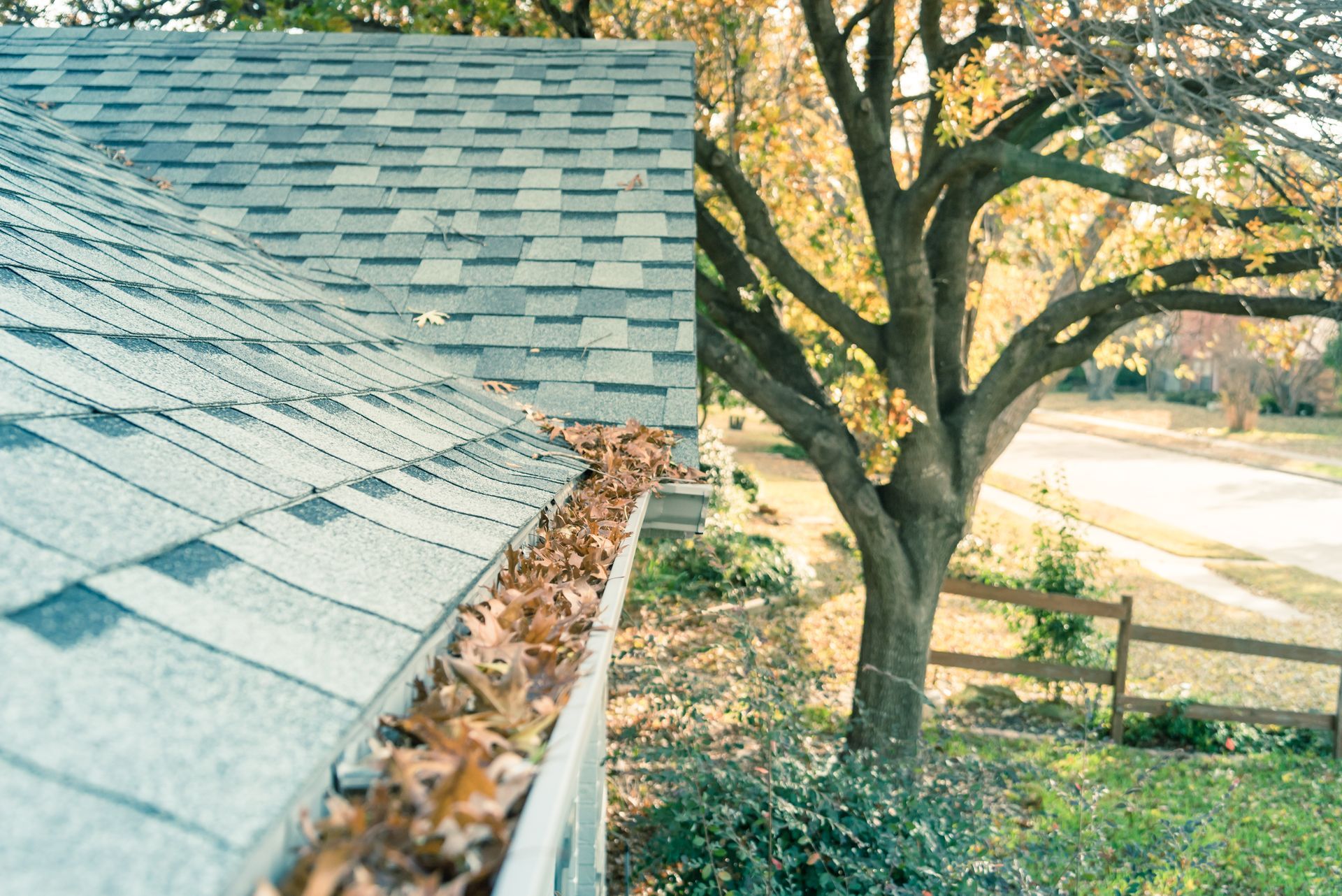 A gutter filled with leaves on the side of a house next to a tree.