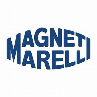 Magnet