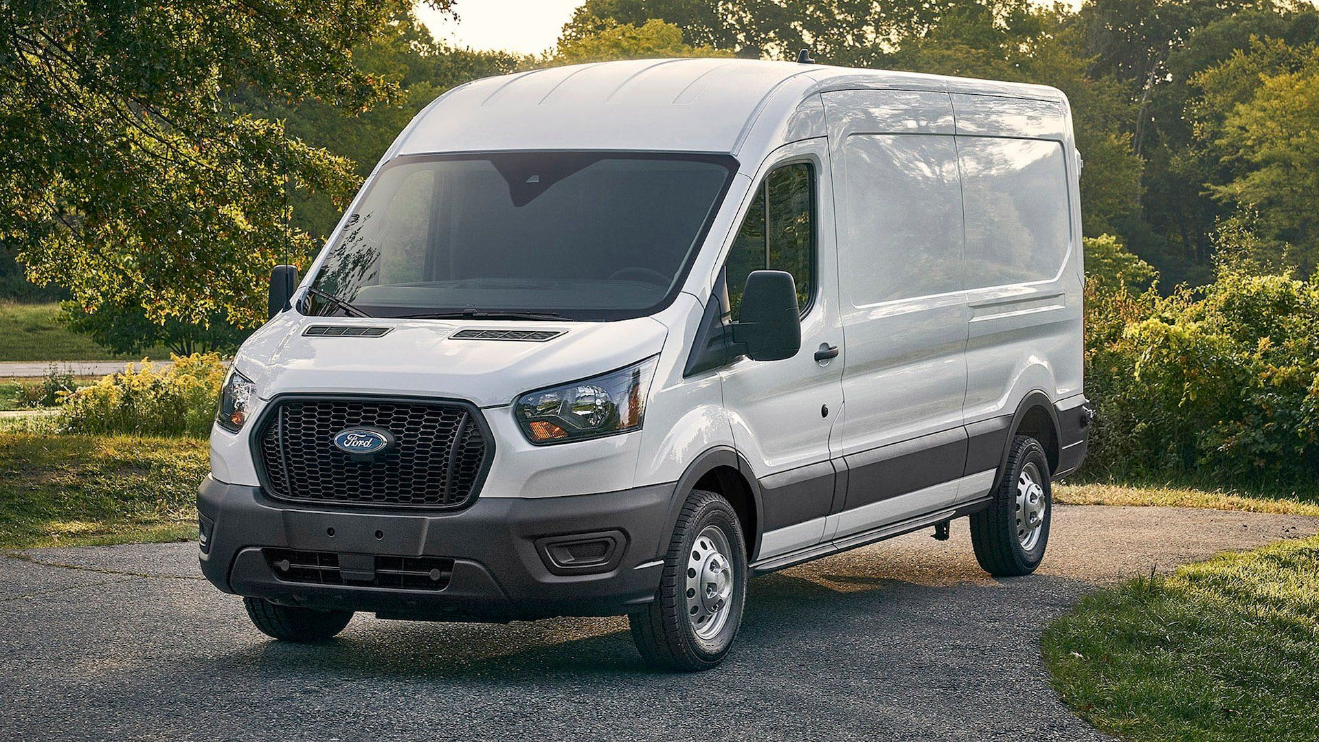 white 15 passenger van