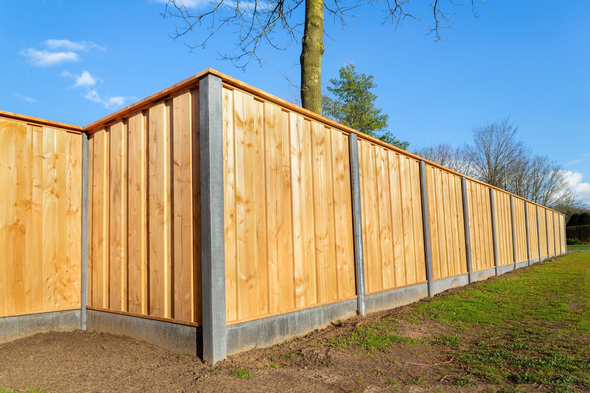 Wooden privacy fence with concrete posts along a grassy yard under a blue sky
