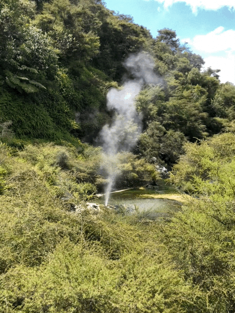 viaggi in moto Nuova Zelanda