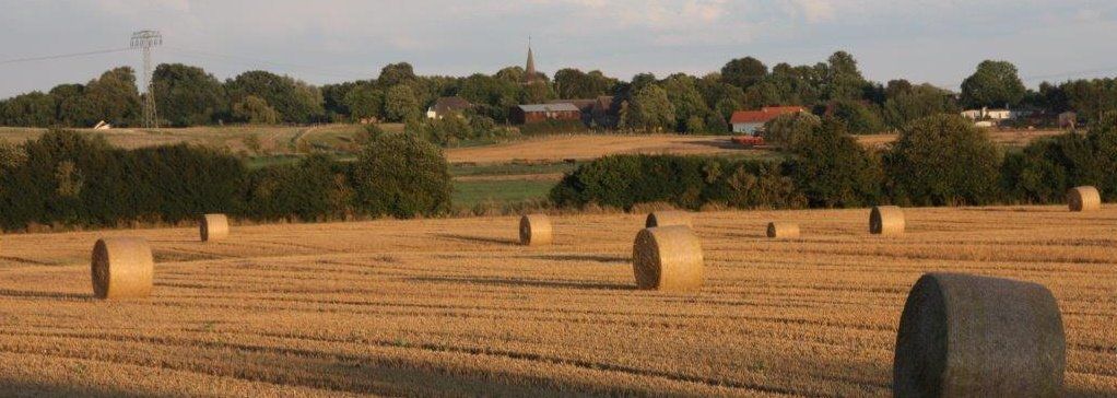 Sietow  Erntezeit