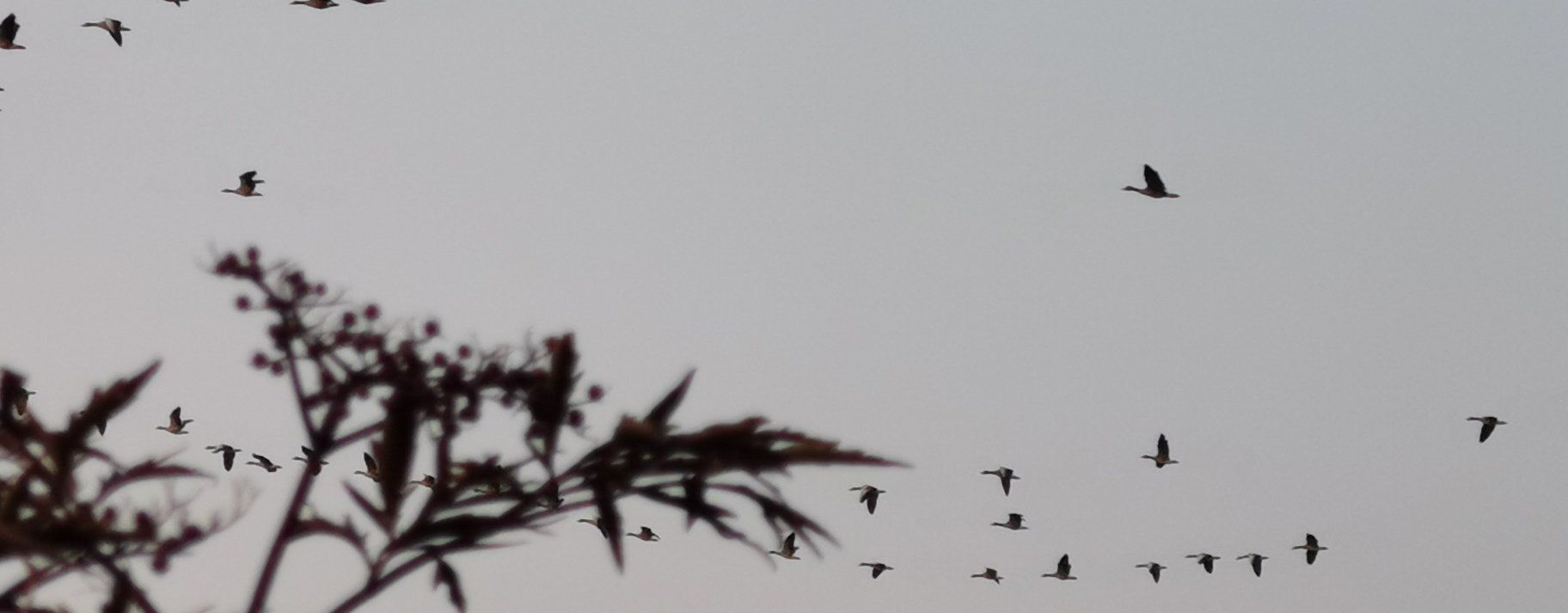 Sietow Dorf  Vogelflug