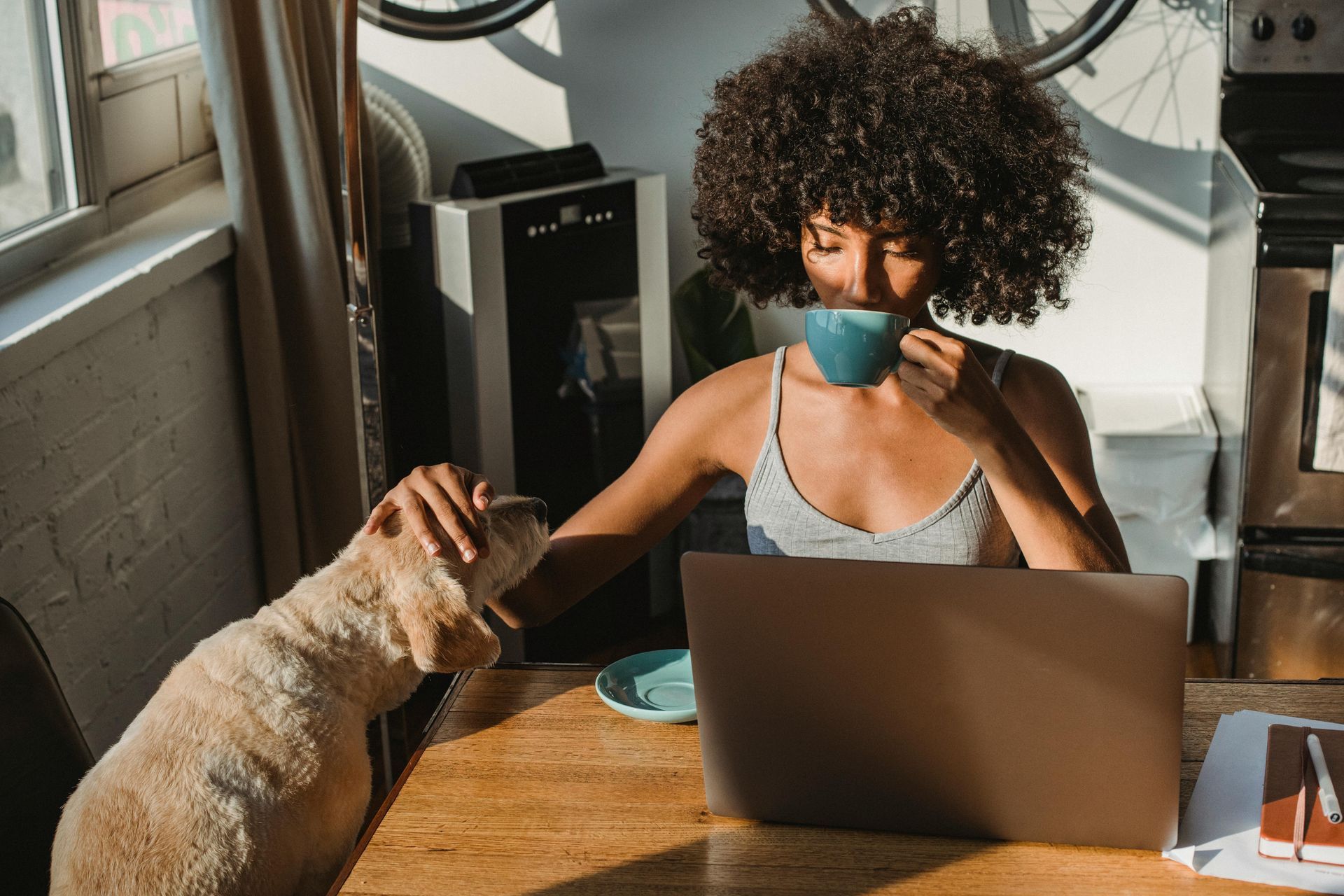 Woman sips from a mug while working on a laptop, pet dog is being petted at a wooden table in front of her.
