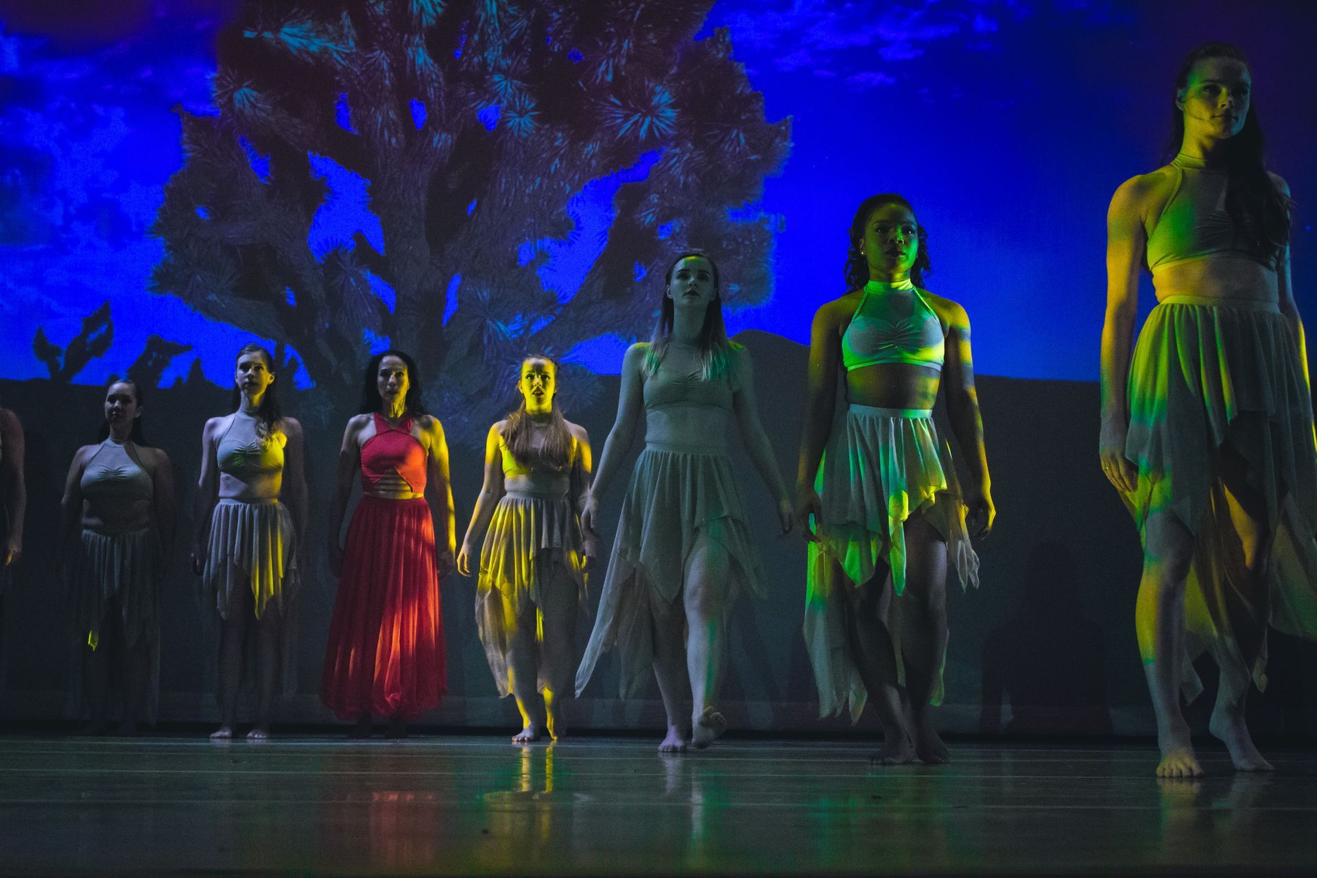 Dancers in flowing costumes on a stage with a blue backdrop. They are illuminated by spotlights.
