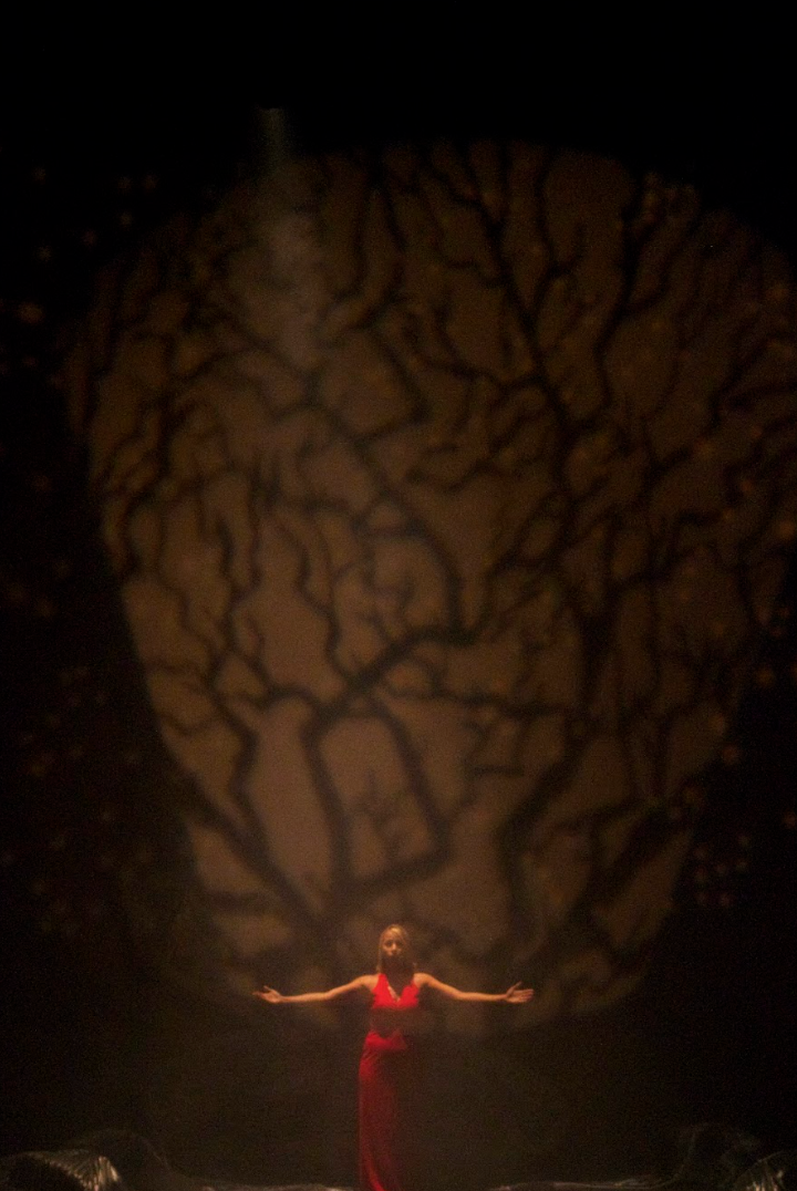 Woman in red dress stands with arms outstretched, shadow of tree behind her.