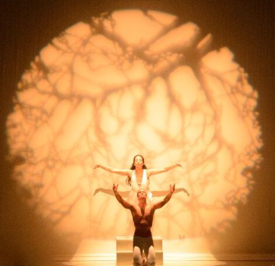 Two dancers perform under a tree-shaped shadow. One is lifted above the other on a white platform.