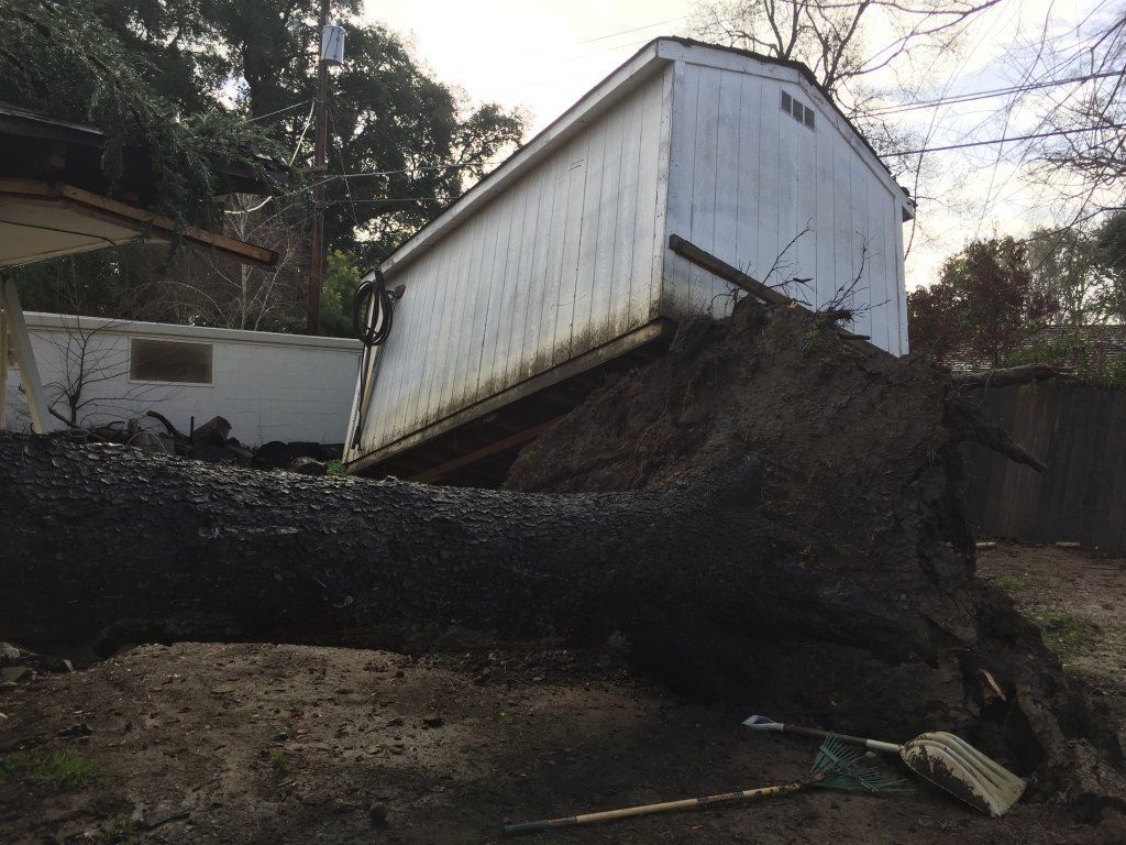 A white shed is sitting on top of a pile of dirt next to a tree.