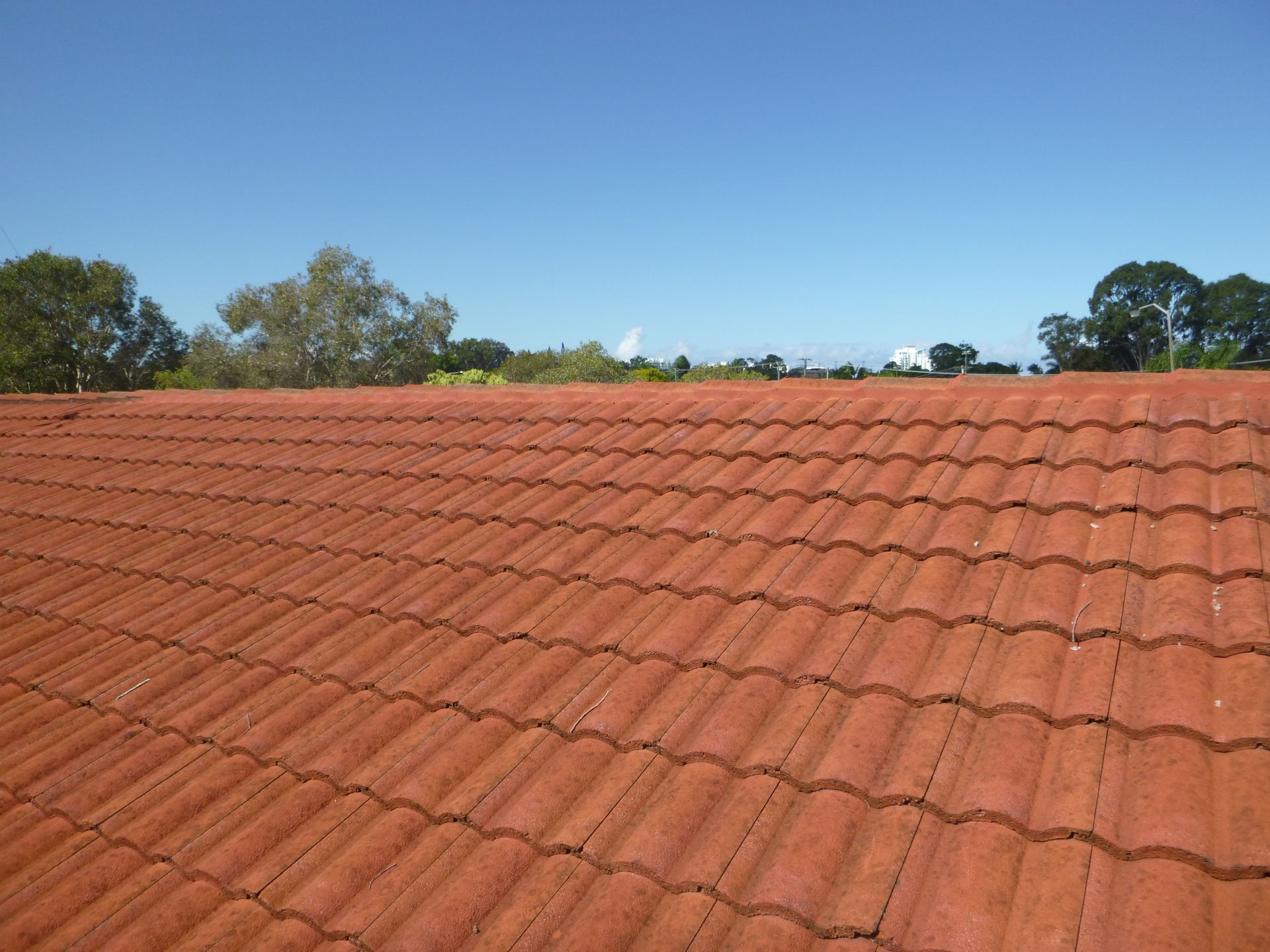 Concrete Tile Roof With Blue Sky And Trees In The Background — Gold Coast Roof Repairs in Mudgeeraba, QLD