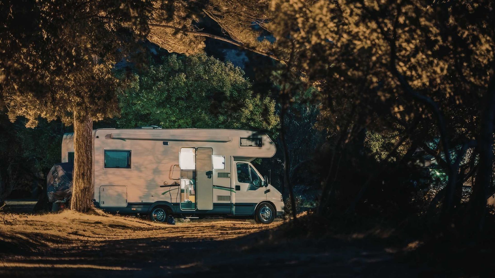 White camper van parked under trees at night on a dirt roadside