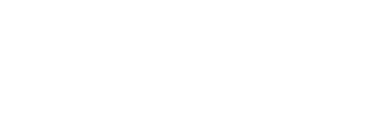 Color & Grace Co | Color Analyst Lancaster PA | logo playfair text 