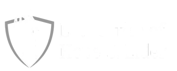 A silver outline of a shield shape on a white background.