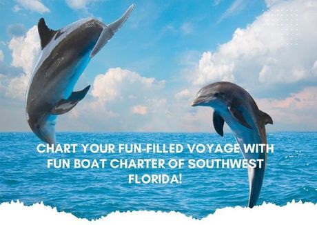 Two dolphins are jumping out of the water.