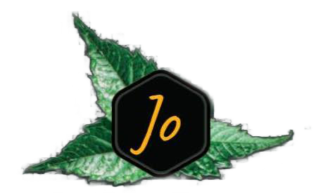 Une image d'une feuille avec le mot jo dessus.