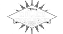 Black-and-white sports logo with a diamond shape and radiating lines, reading &ldquo;CITIBS COUNTY&rdquo; in the center