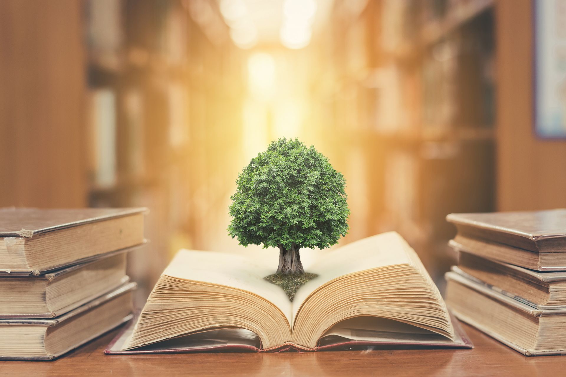 A small tree grows from the center of an open book, flanked by stacks of books in a blurred library setting.