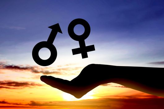 A silhouette of a hand held out against a sunset, supporting the male and female gender symbols.