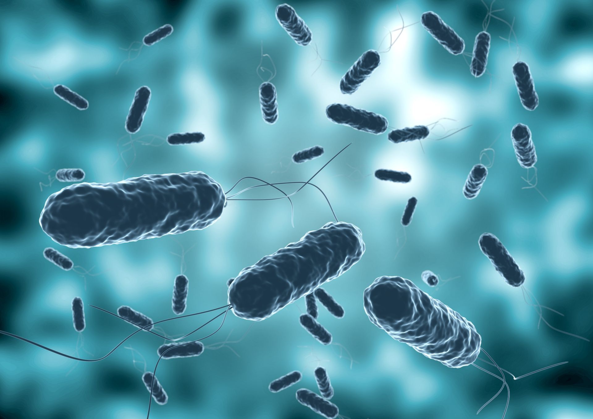A 3D visualization of multiple rod-shaped bacteria with flagella, depicted in shades of blue.