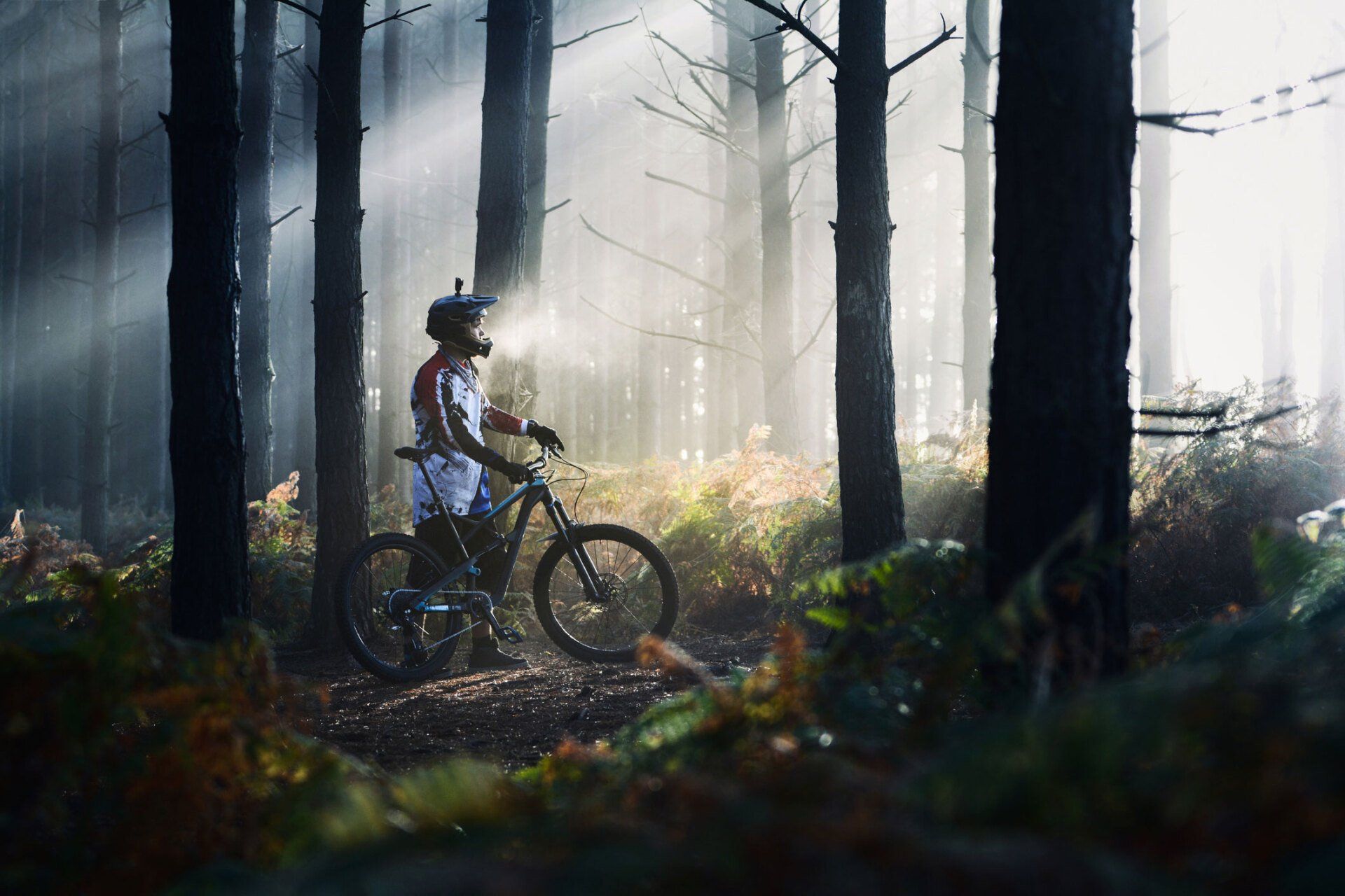 Mountain Bike — North Geelong, VIC — Marshall’s Cycles