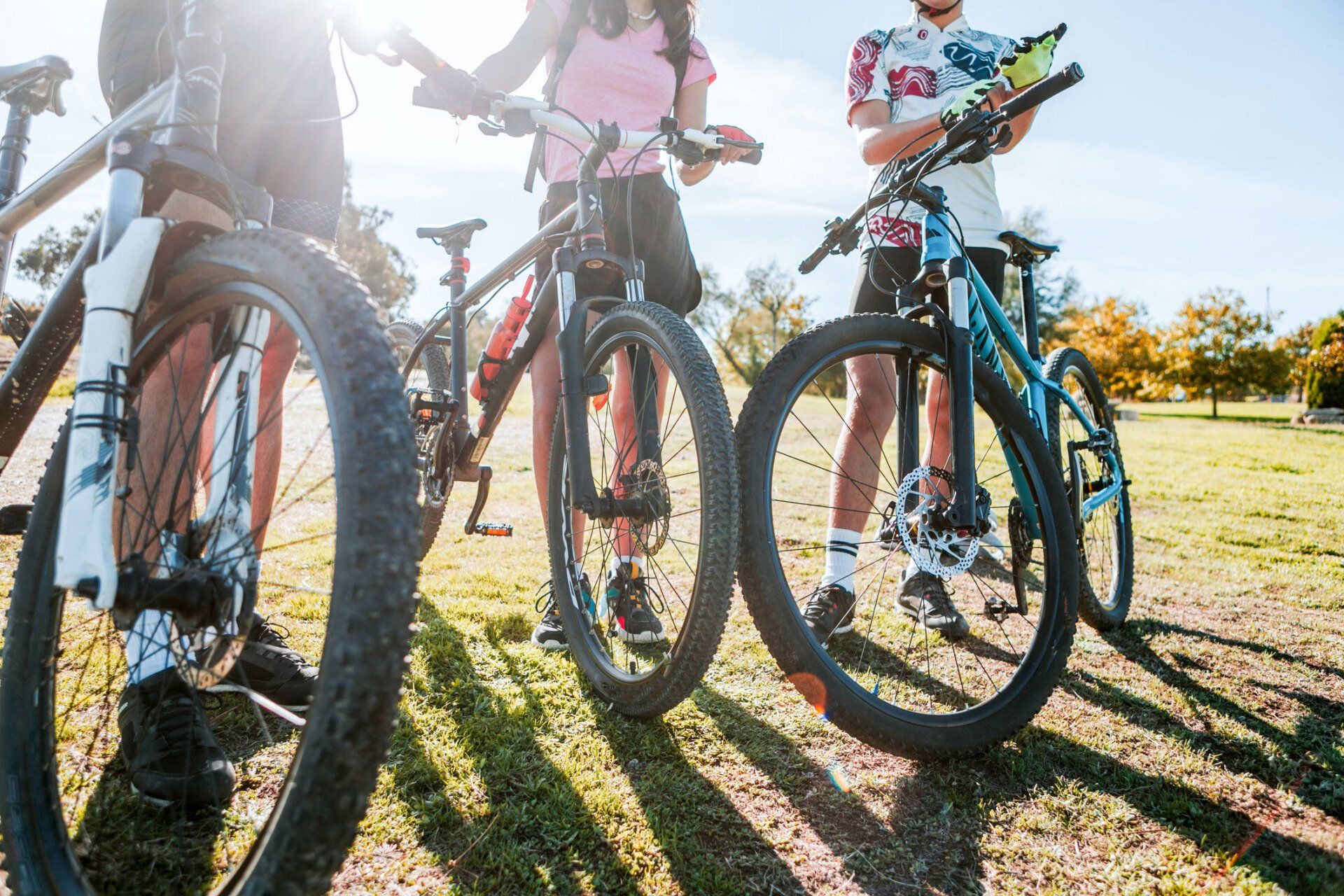 Mountain Bike in a Sunny Day — North Geelong, VIC — Marshall’s Cycles