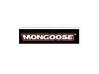Mongoose
