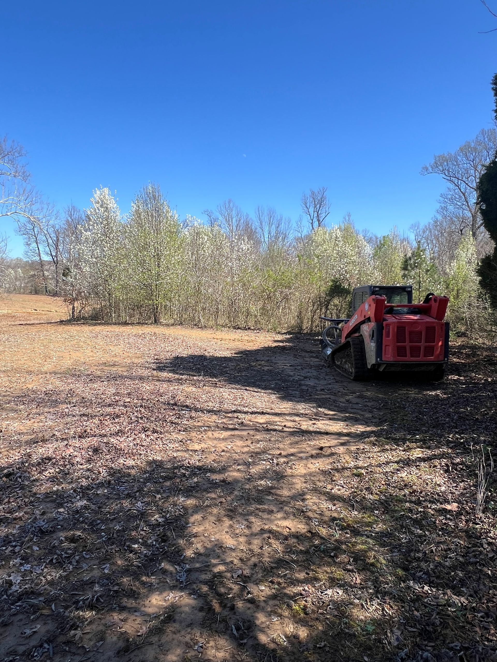 A red skid steer loader clears vegetation at the edge of a wooded area under a clear blue sky.
