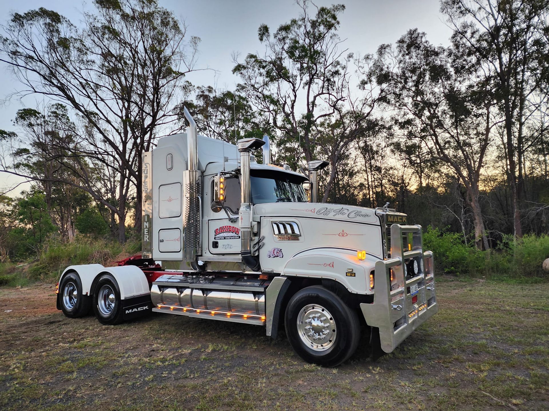 Silver Semi Truck Parked on Grass at Sunset with Trees — Rainbow and Sons Heavy Haulage in Coffs Harbour, NSW