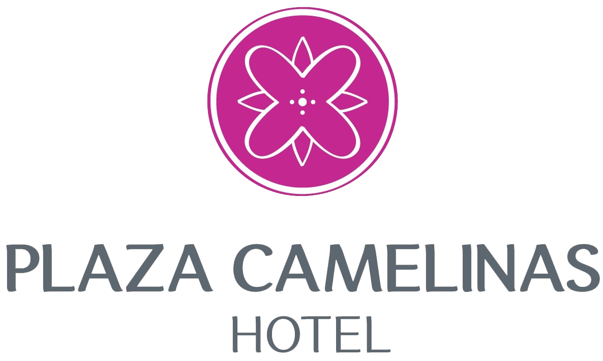 Hotel Plaza Camelinas