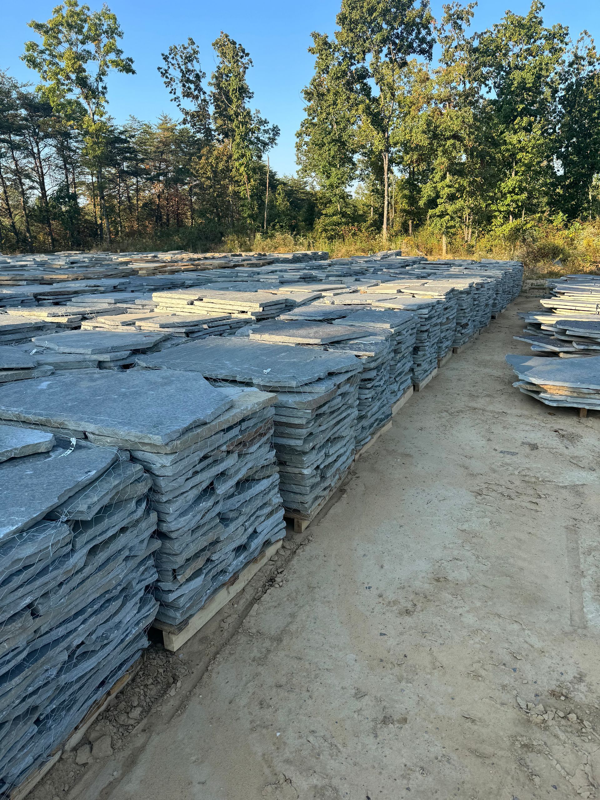 A pile of rocks in a dirt field with trees in the background