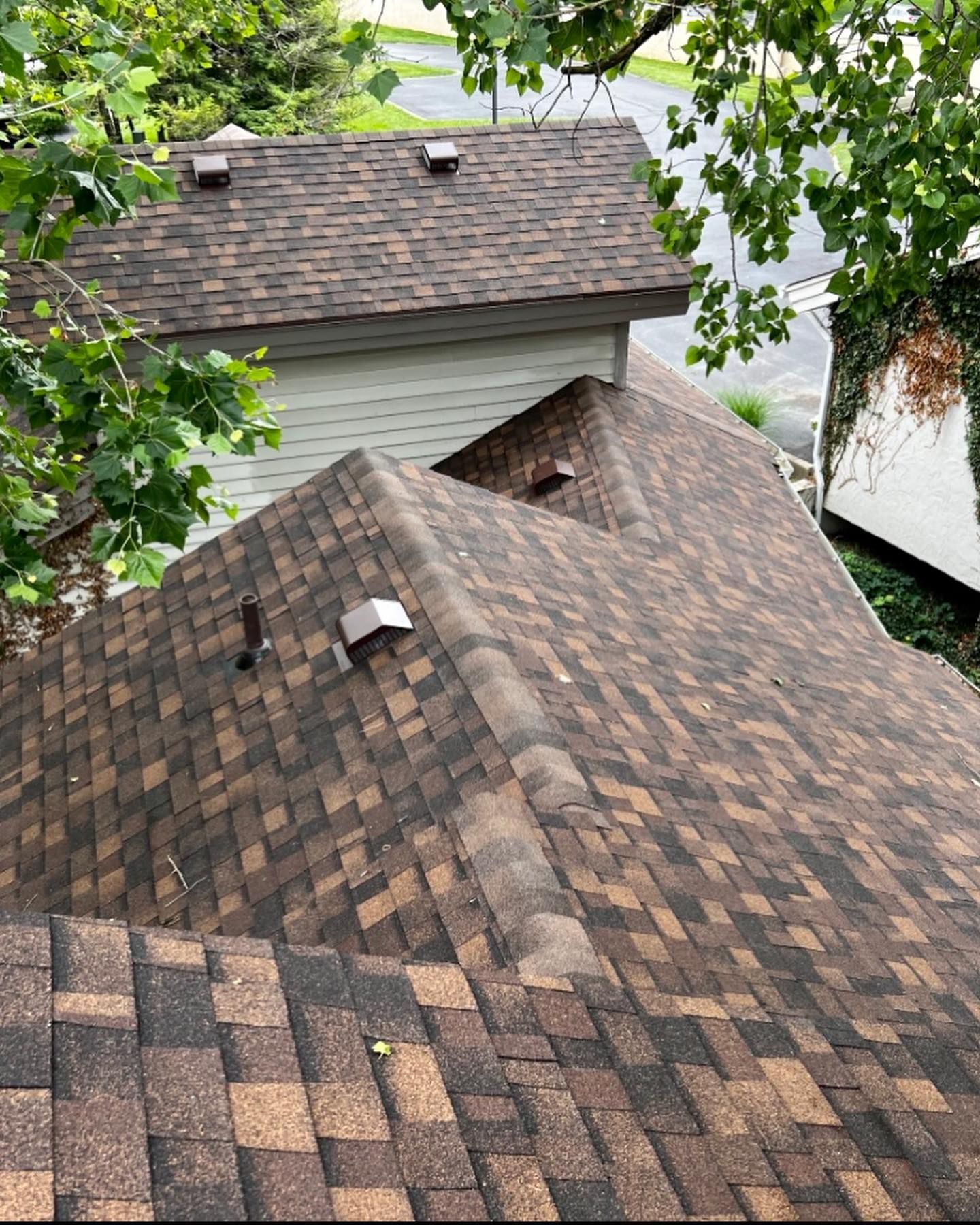 High-angle view of a brown shingled roof with several vents, showing adjacent building sections and overhanging trees.