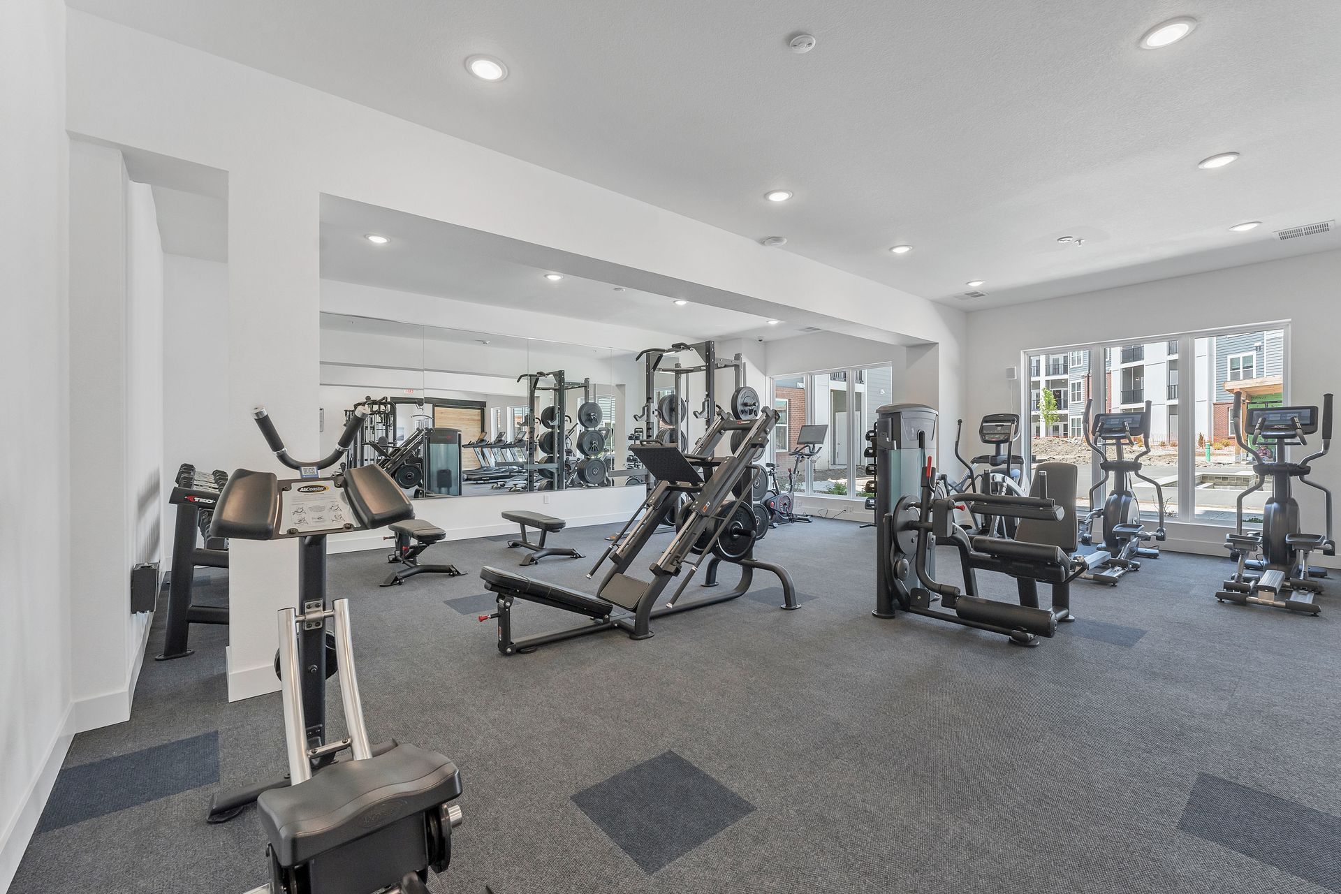 Bright modern gym with weight machines, benches, and exercise equipment on gray carpet